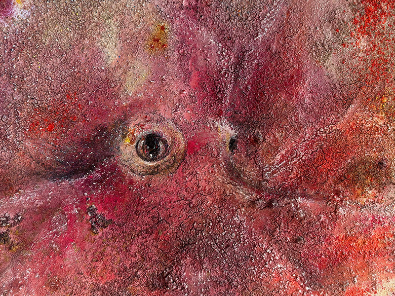 Colección Océano "Pulpo"